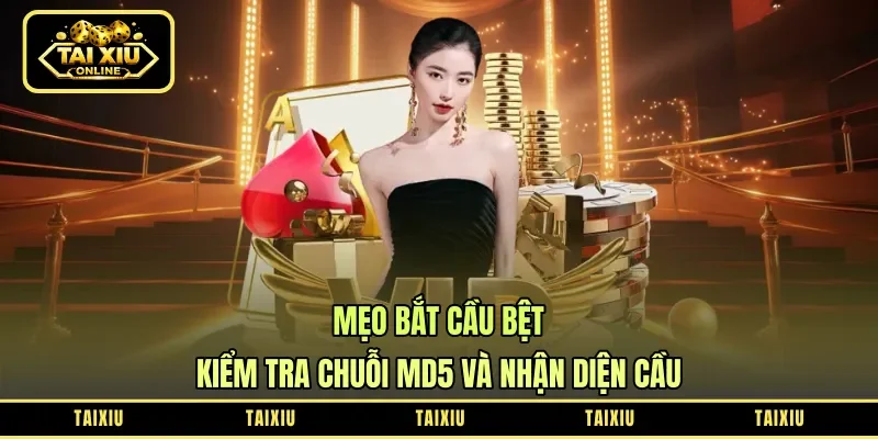 Mẹo Bắt Cầu Bệt - Kiểm Tra Chuỗi MD5 Và Nhận Diện Cầu