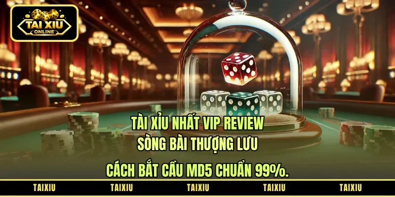 Tài Xỉu Nhất Vip Review: Sòng Bài Thượng Lưu – Cách Bắt Cầu MD5 Chuẩn 99%.